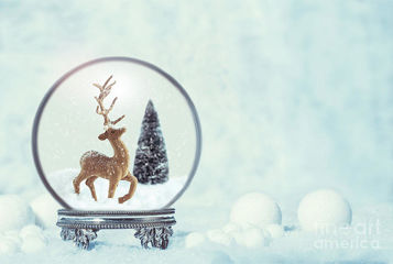 1-winter-snow-globe-with-reindeer-figure-amanda-elwell