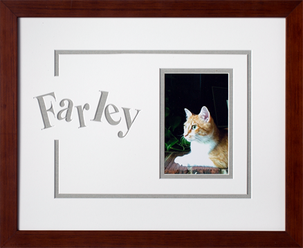 Art, Decor, Framing, Framed Memories, Pets