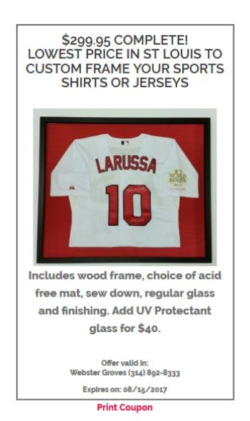 Image Sports Jersey Shadowbox Wall Display St Louis