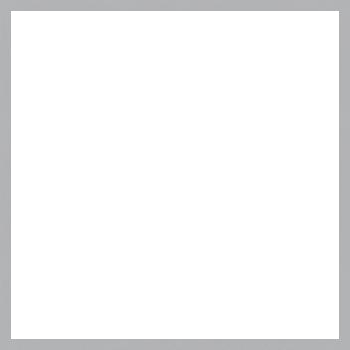 n11702-Nielsen-Frosted-Silver-Square.png - The Great Frame Up